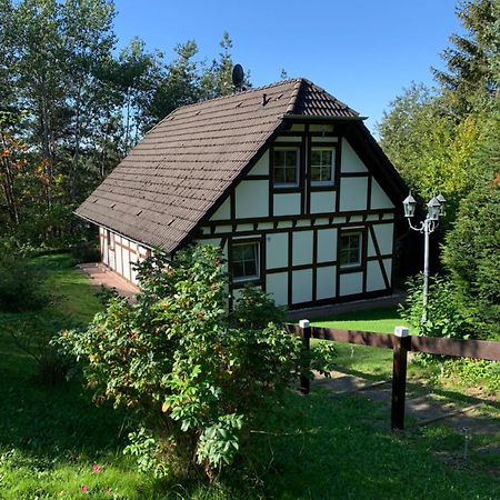 Die Kleine Ferienvilla Am Edersee Франкенау Екстер'єр фото